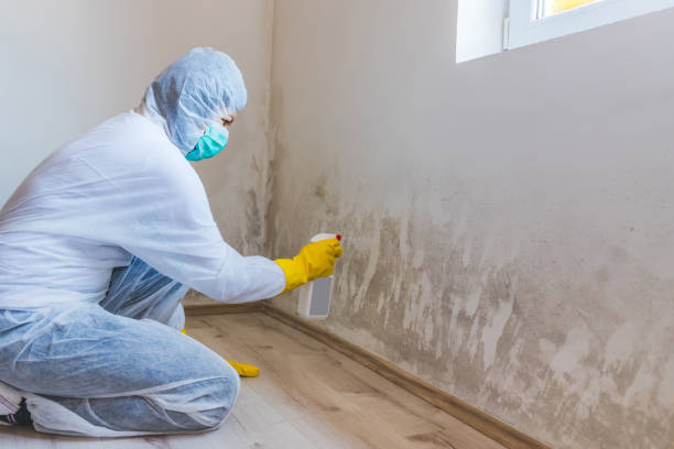 Commercial Mold Remediation assessment for commercial property in Nahant